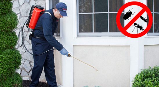 Yalova Kemirgen İlaçlama böcek ilaçlama ve haşere kontrolü — ilaclama-tr.com